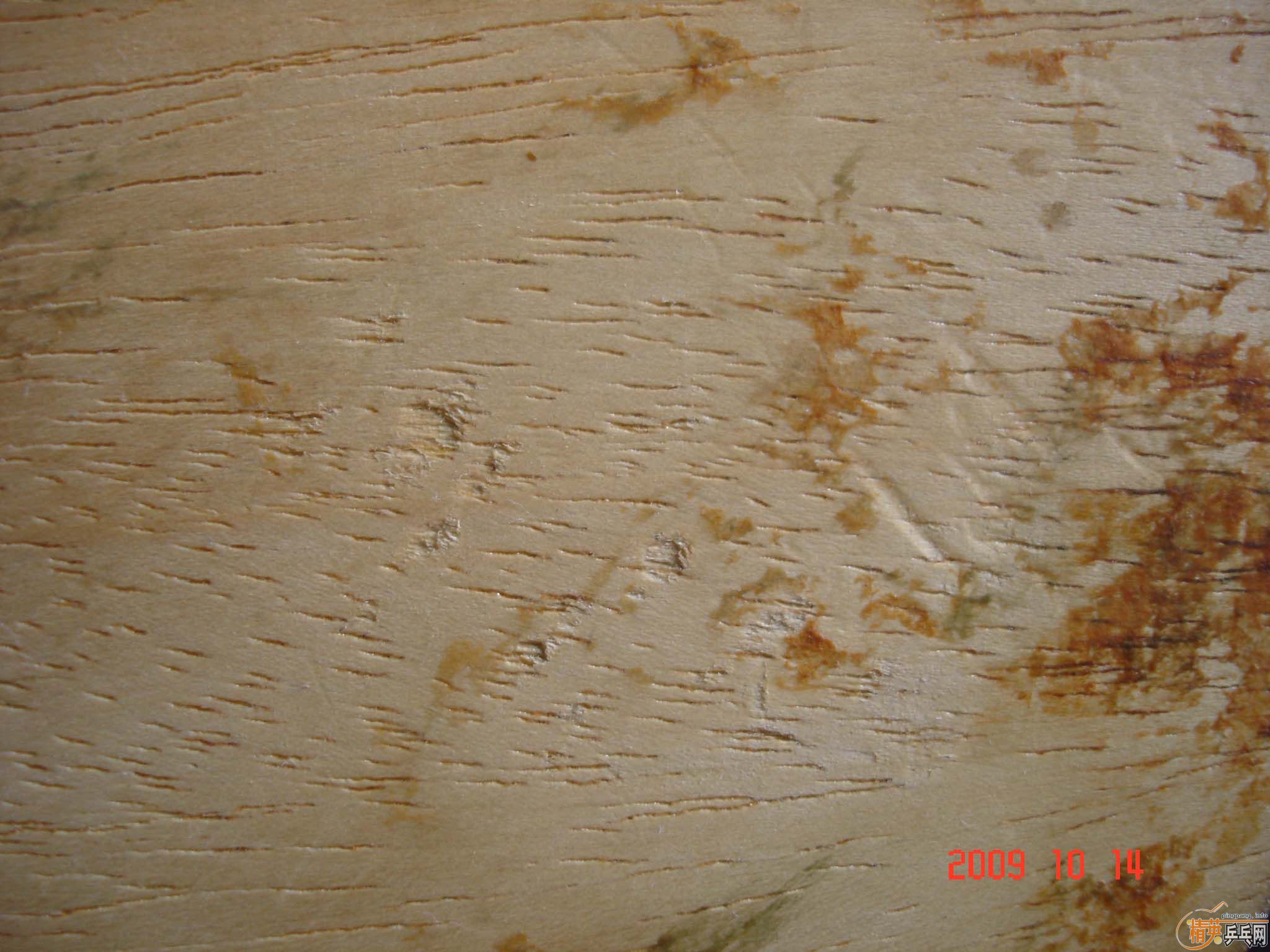 ����ʵ���͵װ�ת�ã������𩣬����M1��T2�����µ³���֮��A���ղؼ�˫ϲpf4��Ʒ