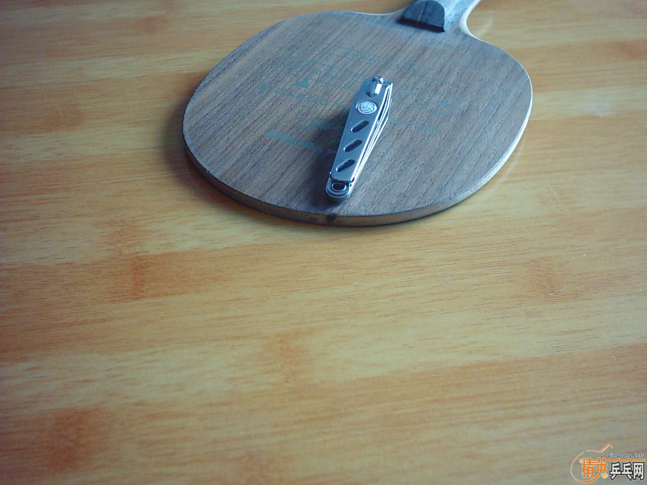 ���л�-------------YEO