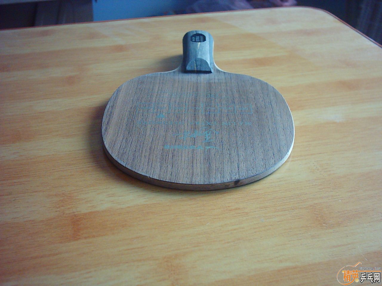 ���л�-------------YEO