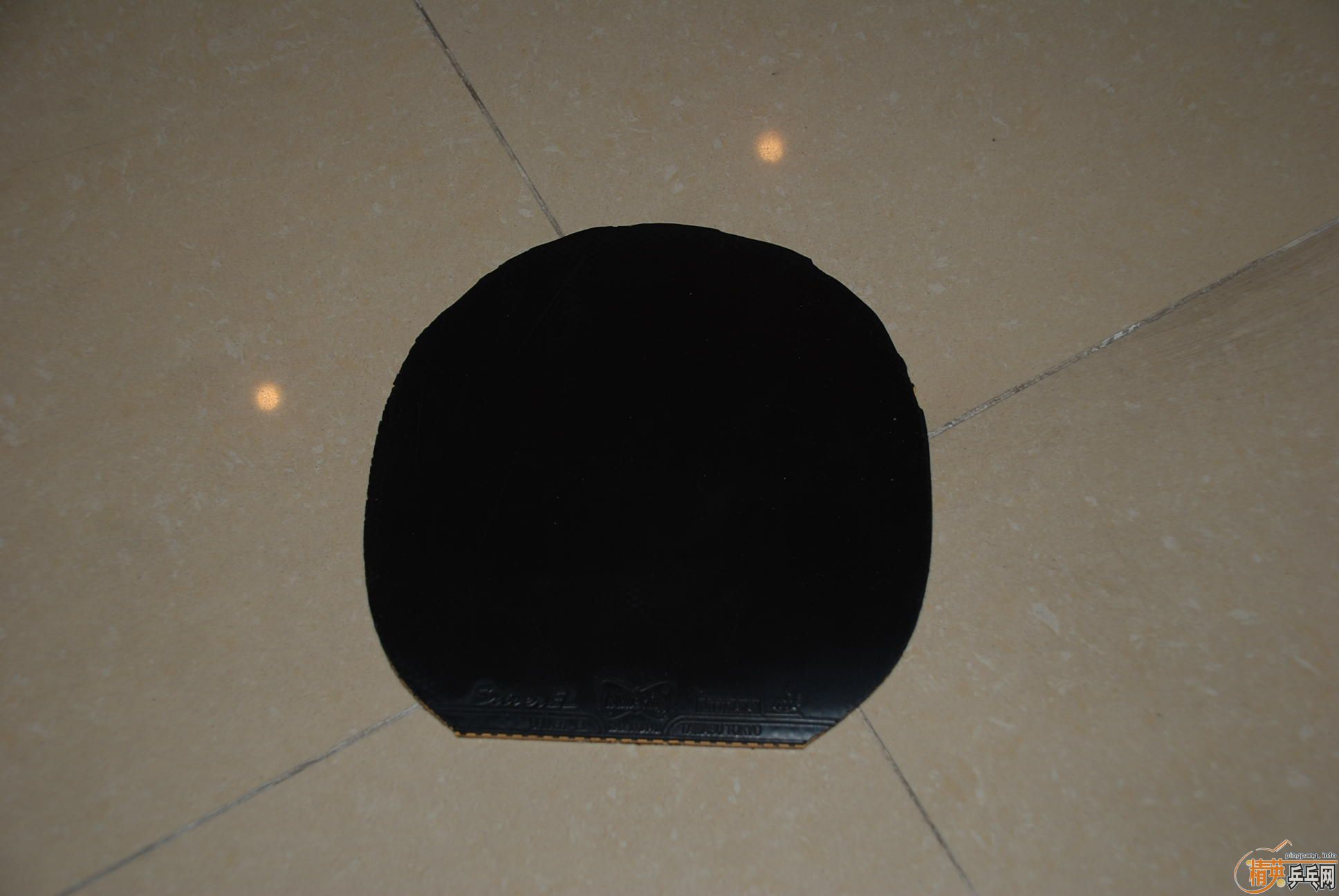 EL 100���ʣ�֧��֧����