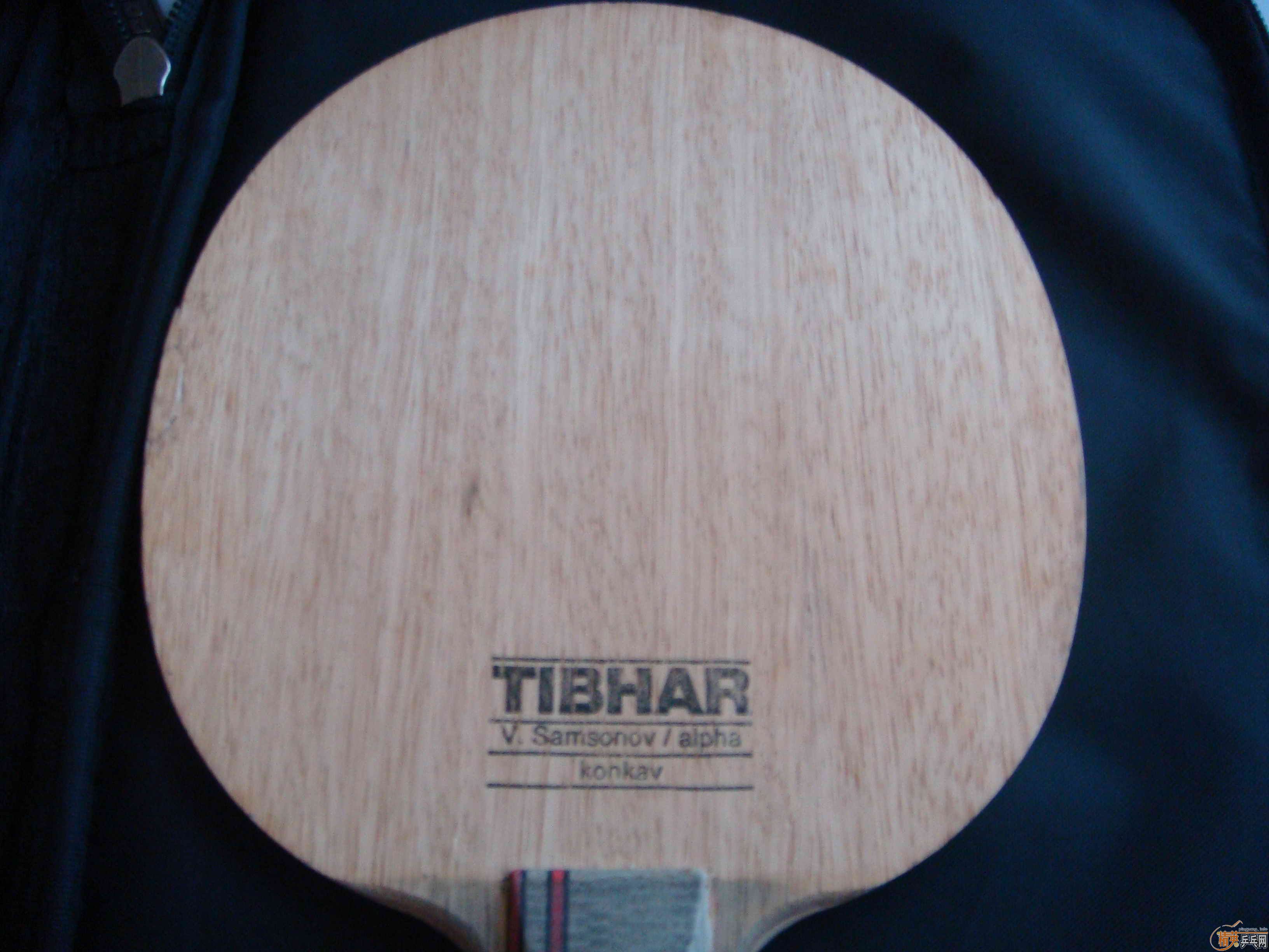 ����97��ALPHA  FL,86�ˣ�380Ԫ���죡