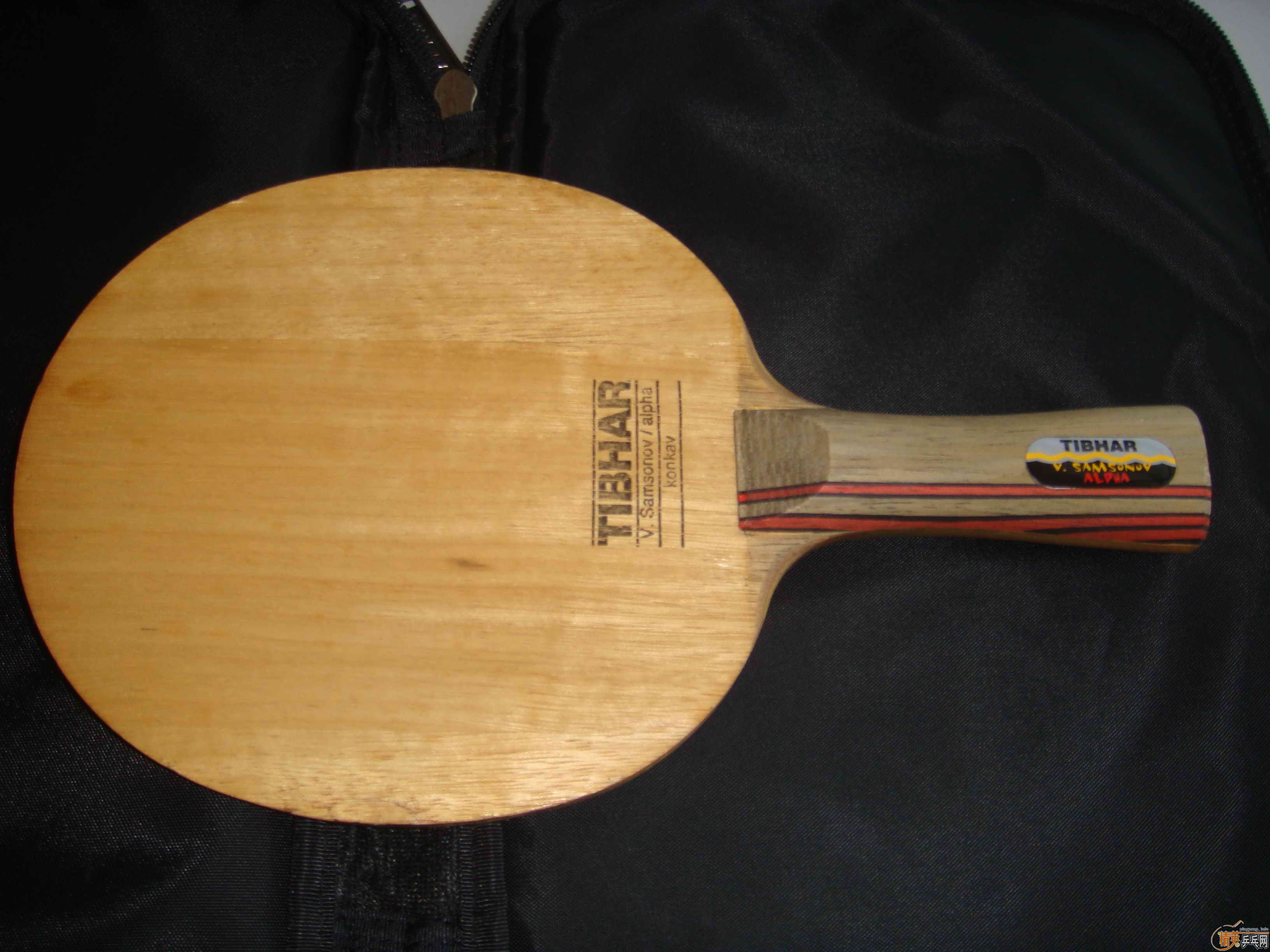 ����97��ALPHA  FL,86�ˣ�380Ԫ���죡