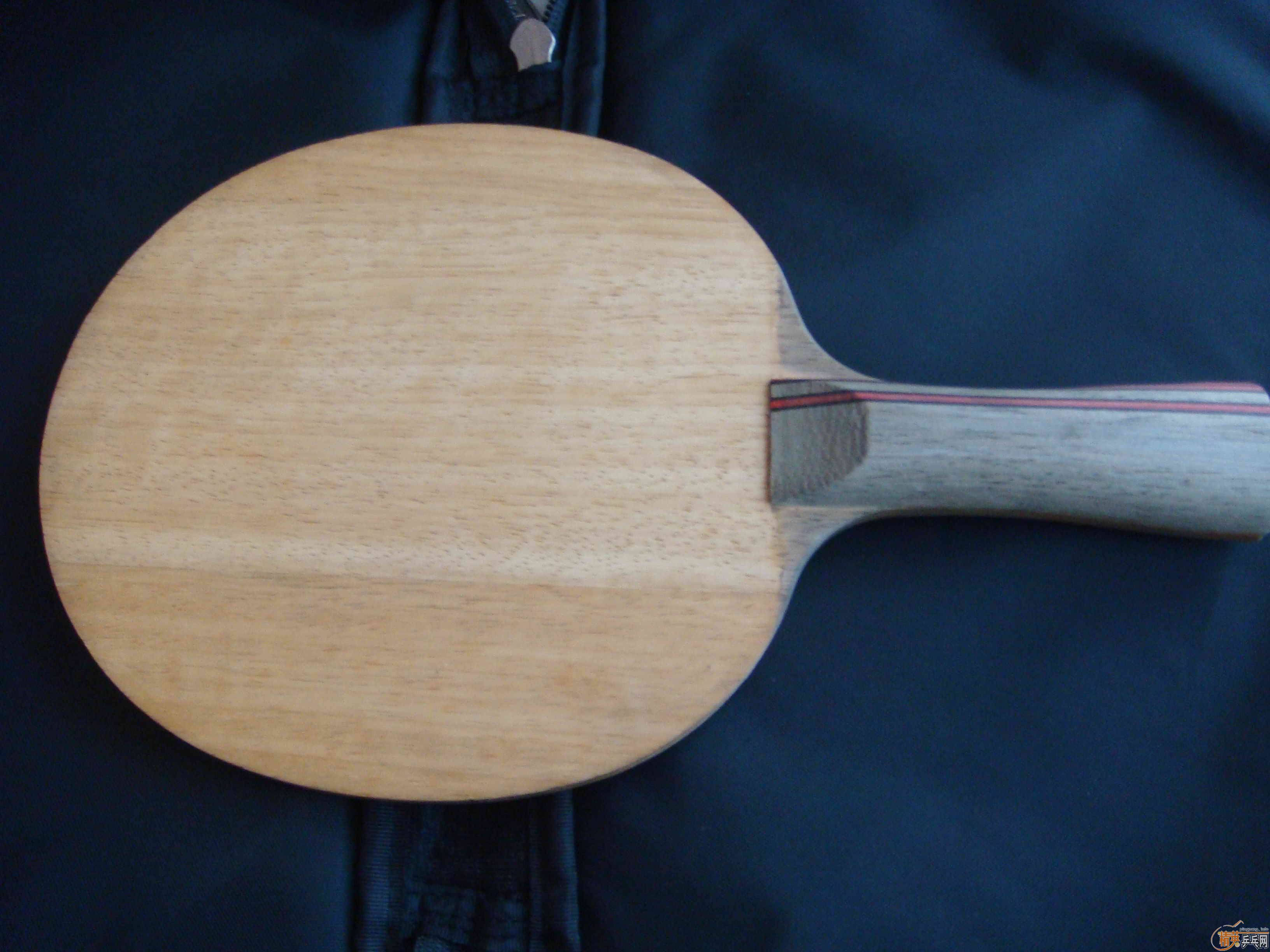 ����97��ALPHA  FL,86�ˣ�380Ԫ���죡