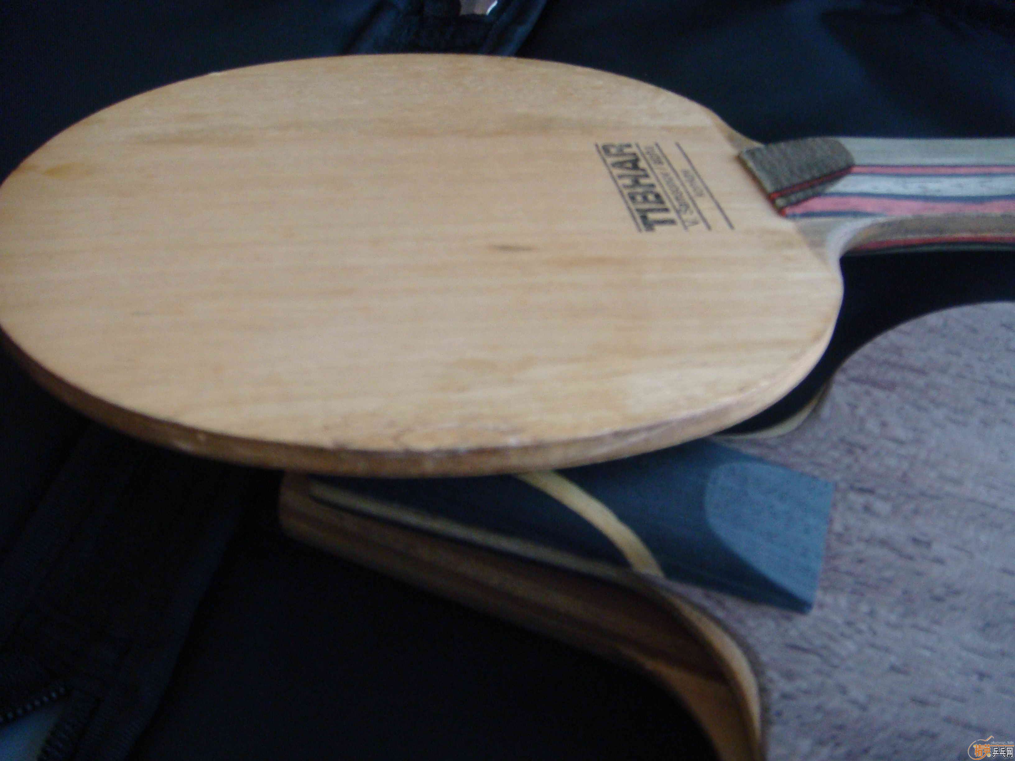 ����97��ALPHA  FL,86�ˣ�380Ԫ���죡