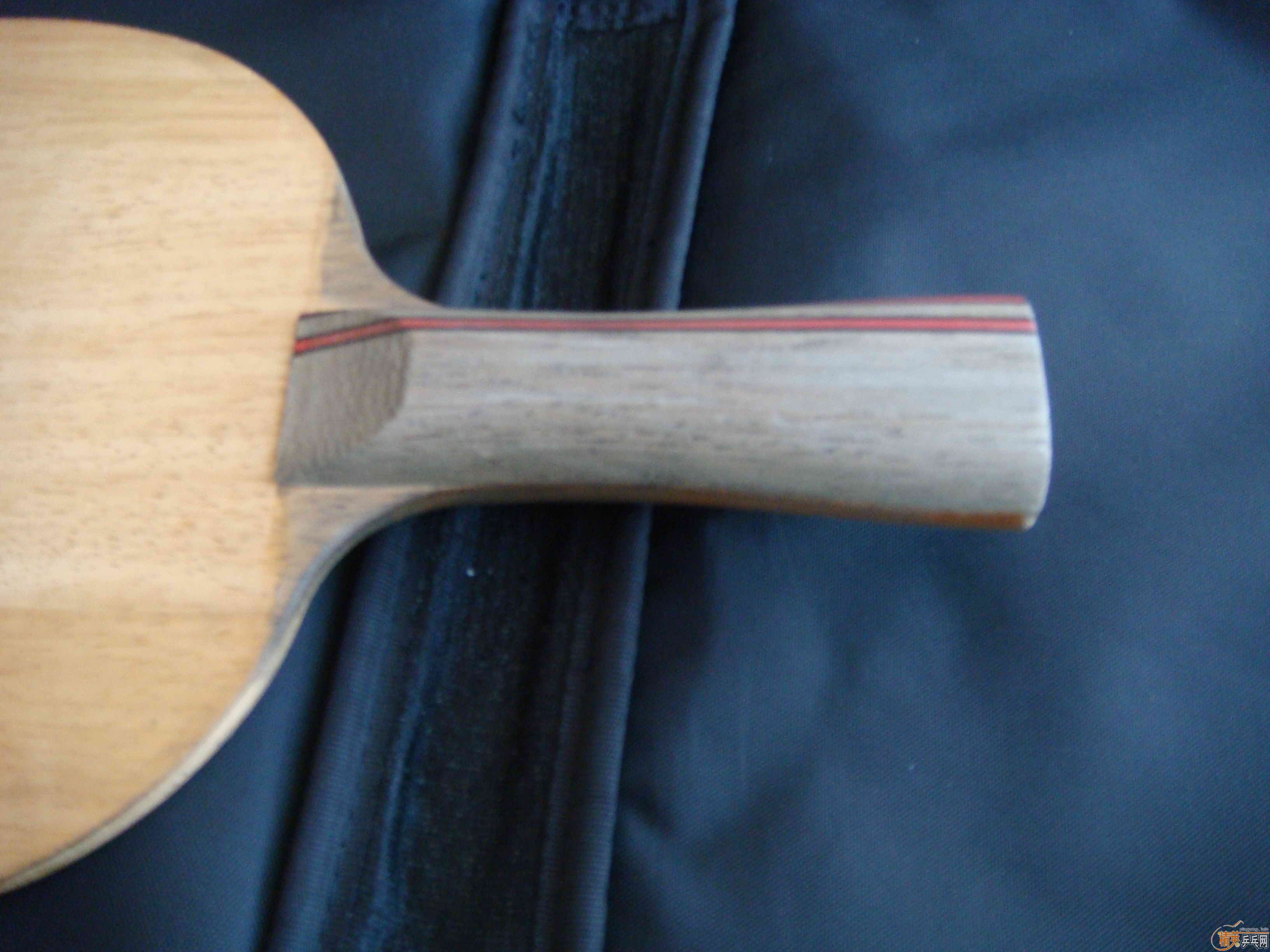 ����97��ALPHA  FL,86�ˣ�380Ԫ���죡