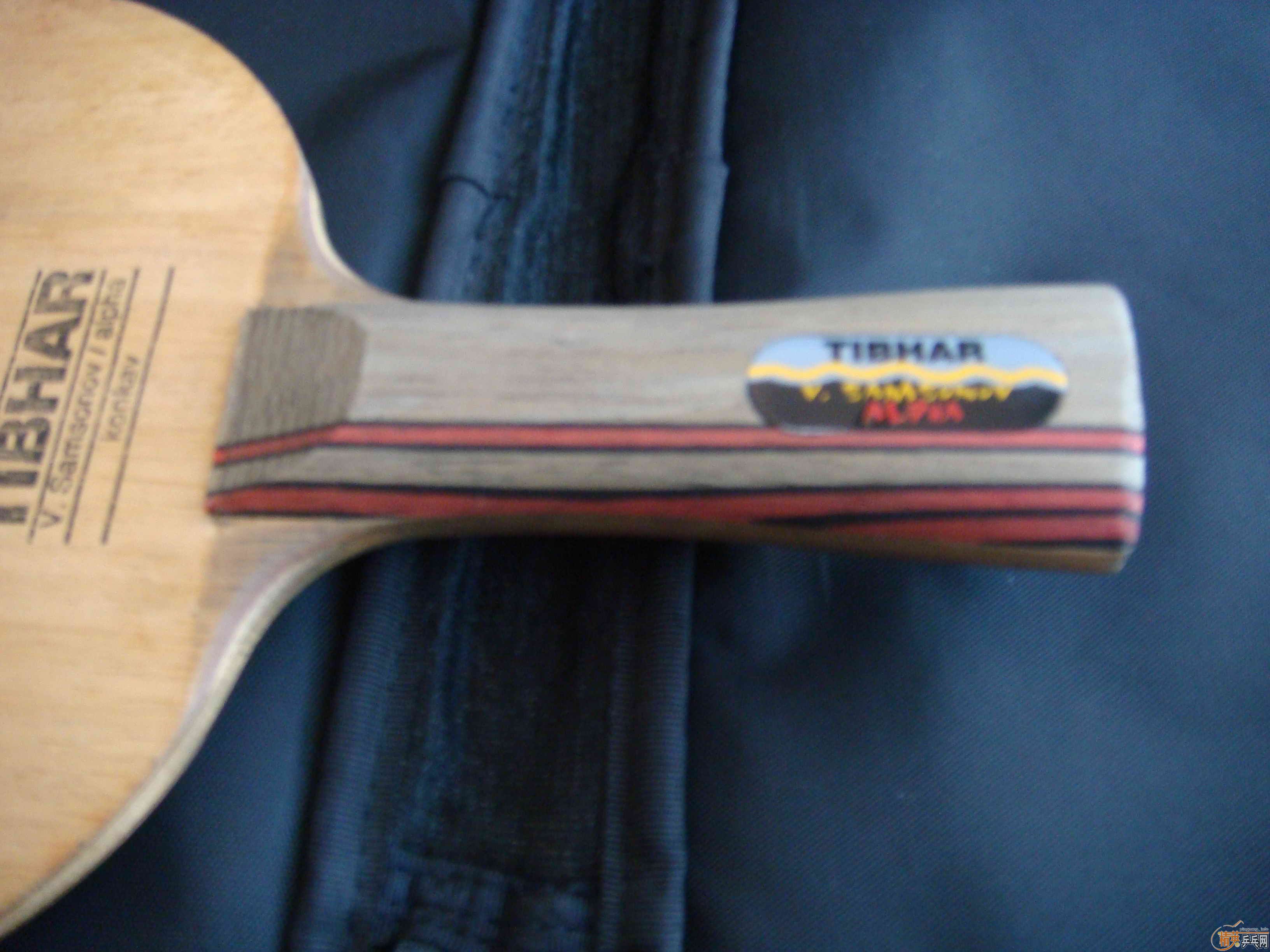 ����97��ALPHA  FL,86�ˣ�380Ԫ���죡