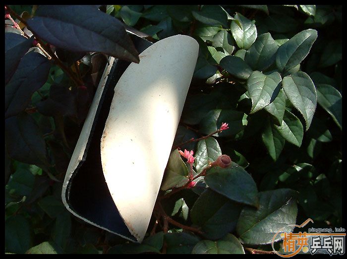 ��һ�³��z��ͬ�r�й�еĖ|��