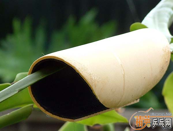 ��һ�³��z��ͬ�r�й�еĖ|��