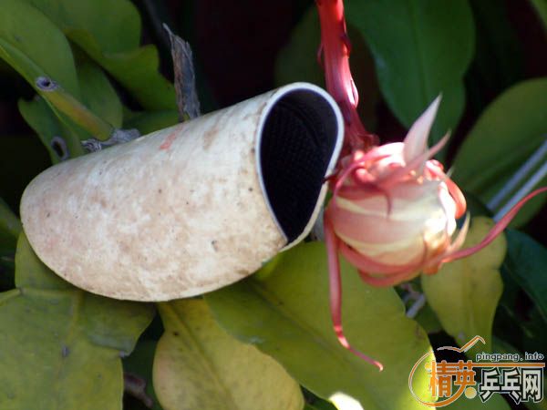 ��һ�³��z��ͬ�r�й�еĖ|��