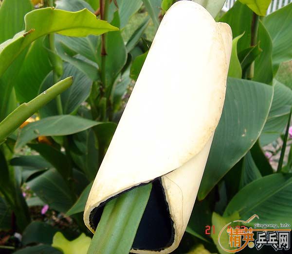 ��һ�³��z��ͬ�r�й�еĖ|��