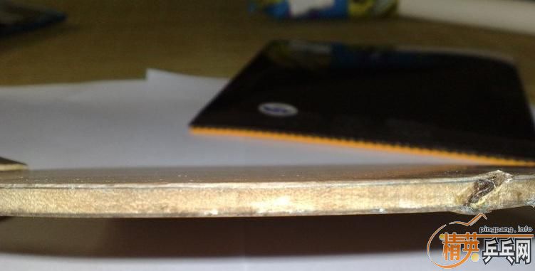 ֧���� ����RUTIS FL