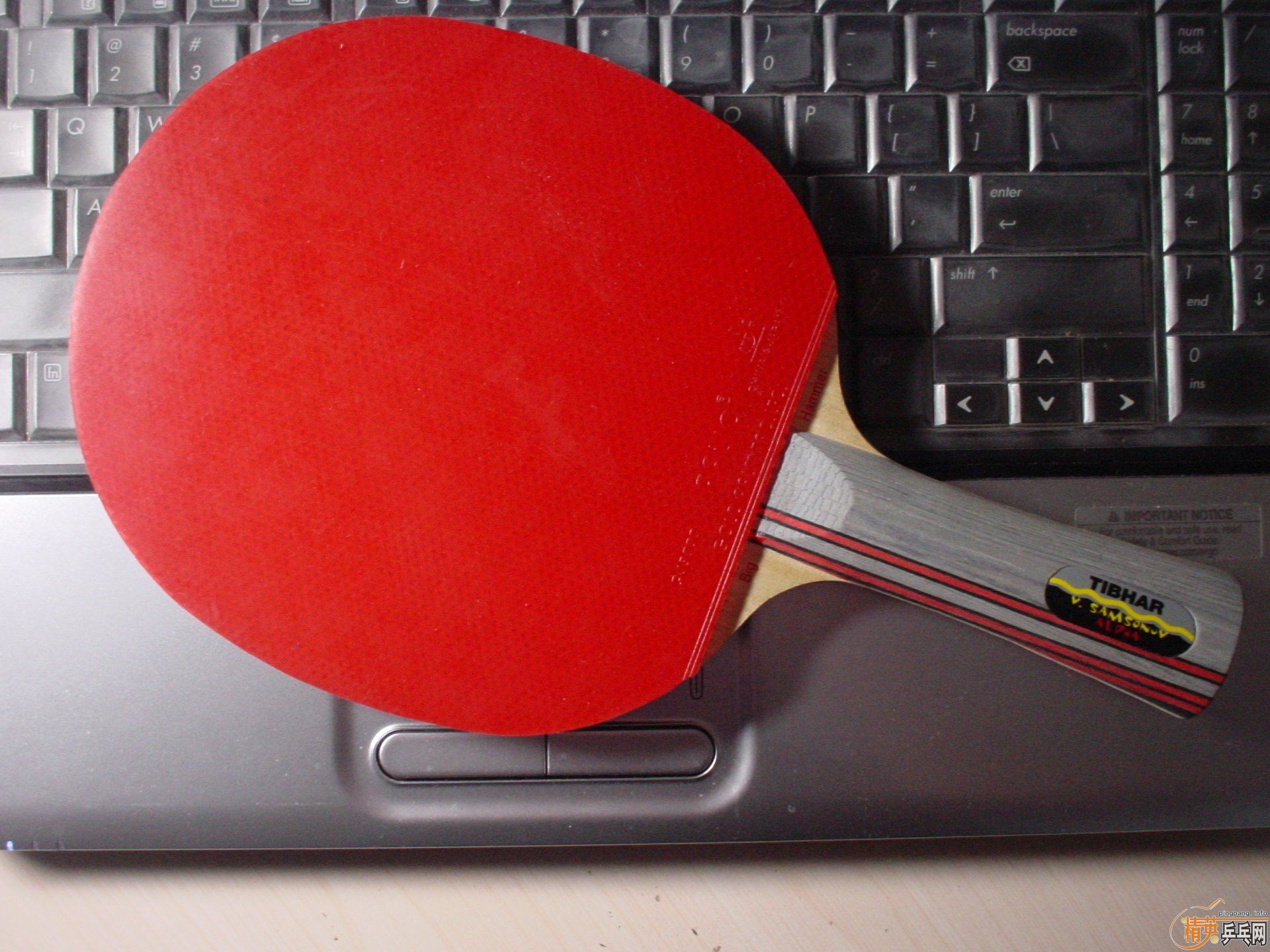 ͦ����ķ��ŵ�����̼��(ͼ)