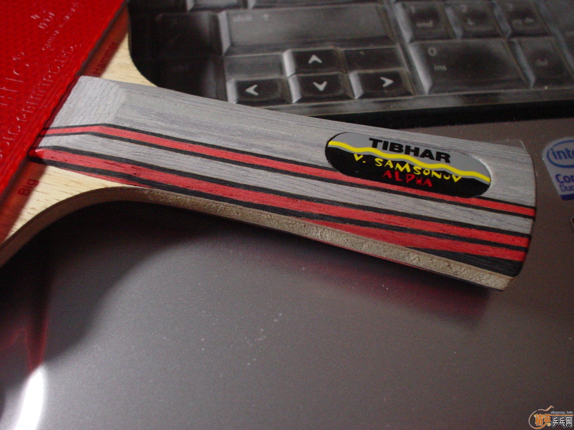 ͦ����ķ��ŵ�����̼��(ͼ)