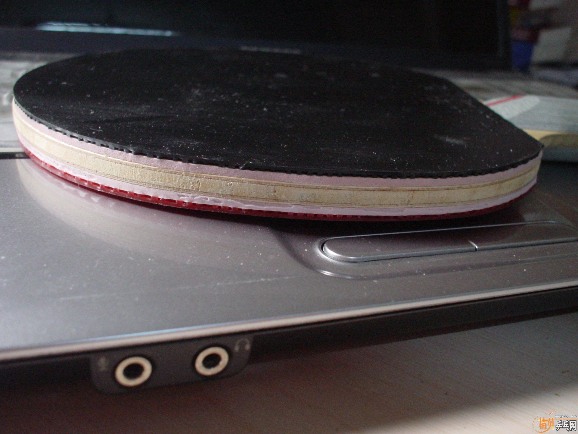 ͦ����ķ��ŵ�����̼��(ͼ)