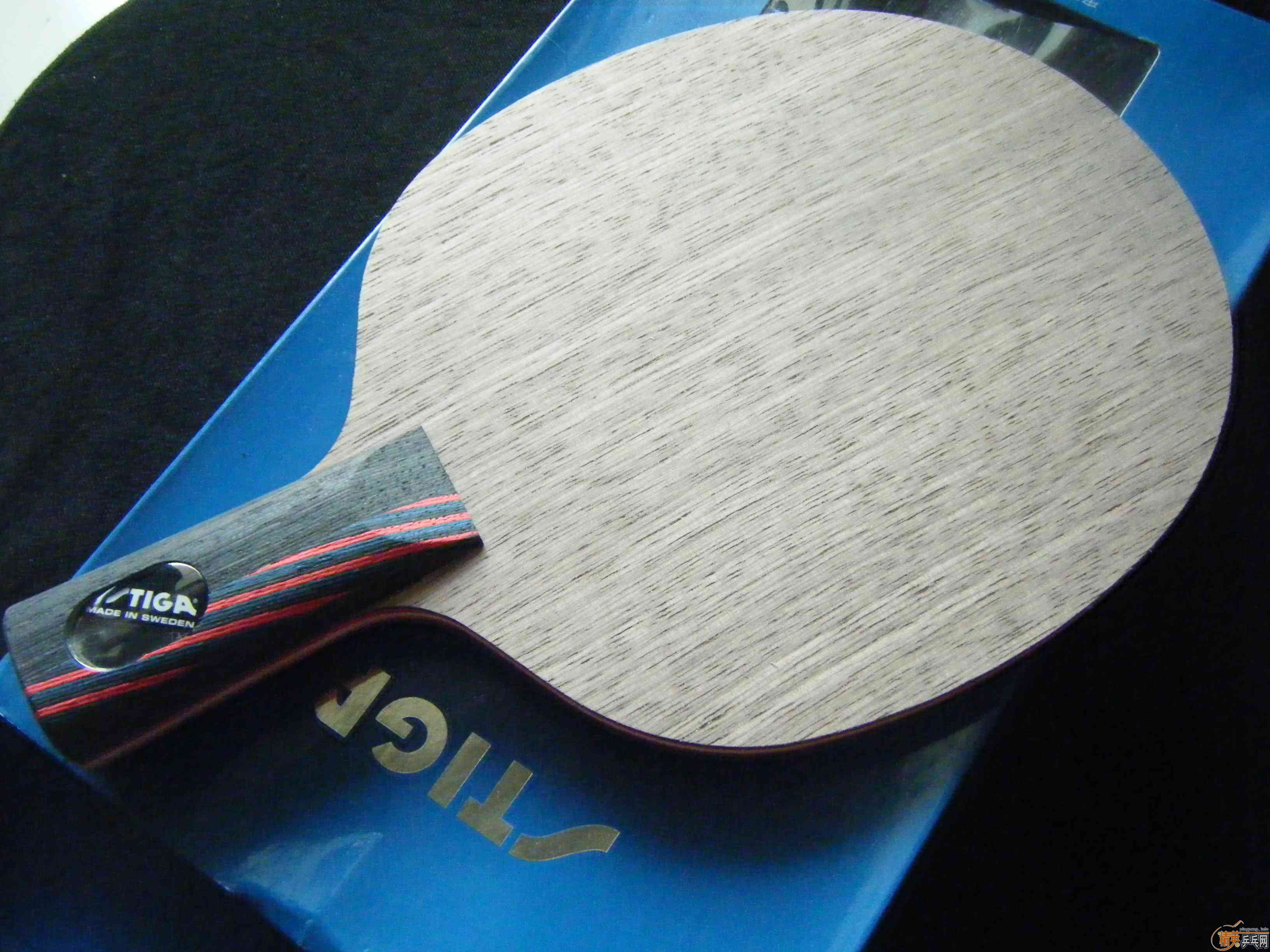 [�Ƽ�]���̱߿����ӱ��Ͼ�Ӣ���������� ˮ����ǿ�� �� ���ڣ�����yeһ��