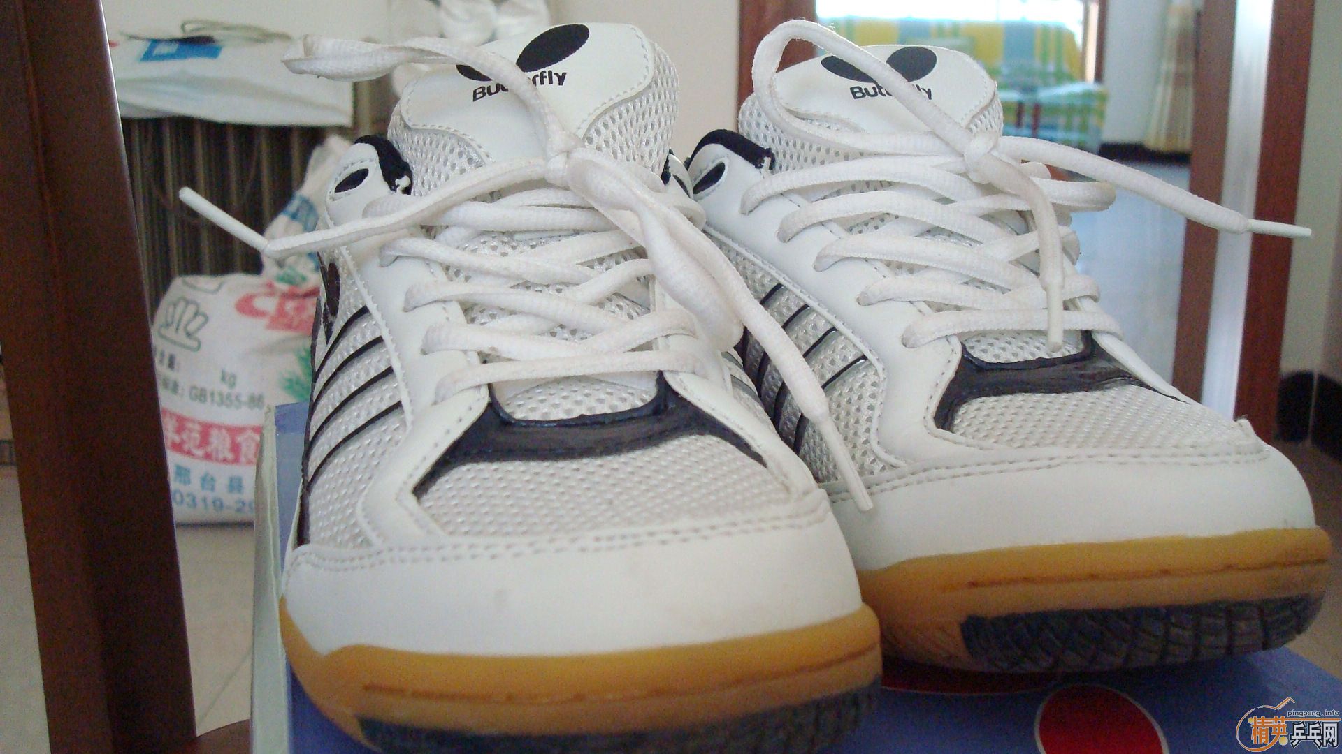 ������WTS-2ƹ��Ь