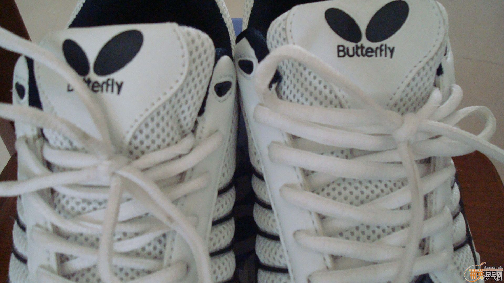 ������WTS-2ƹ��Ь