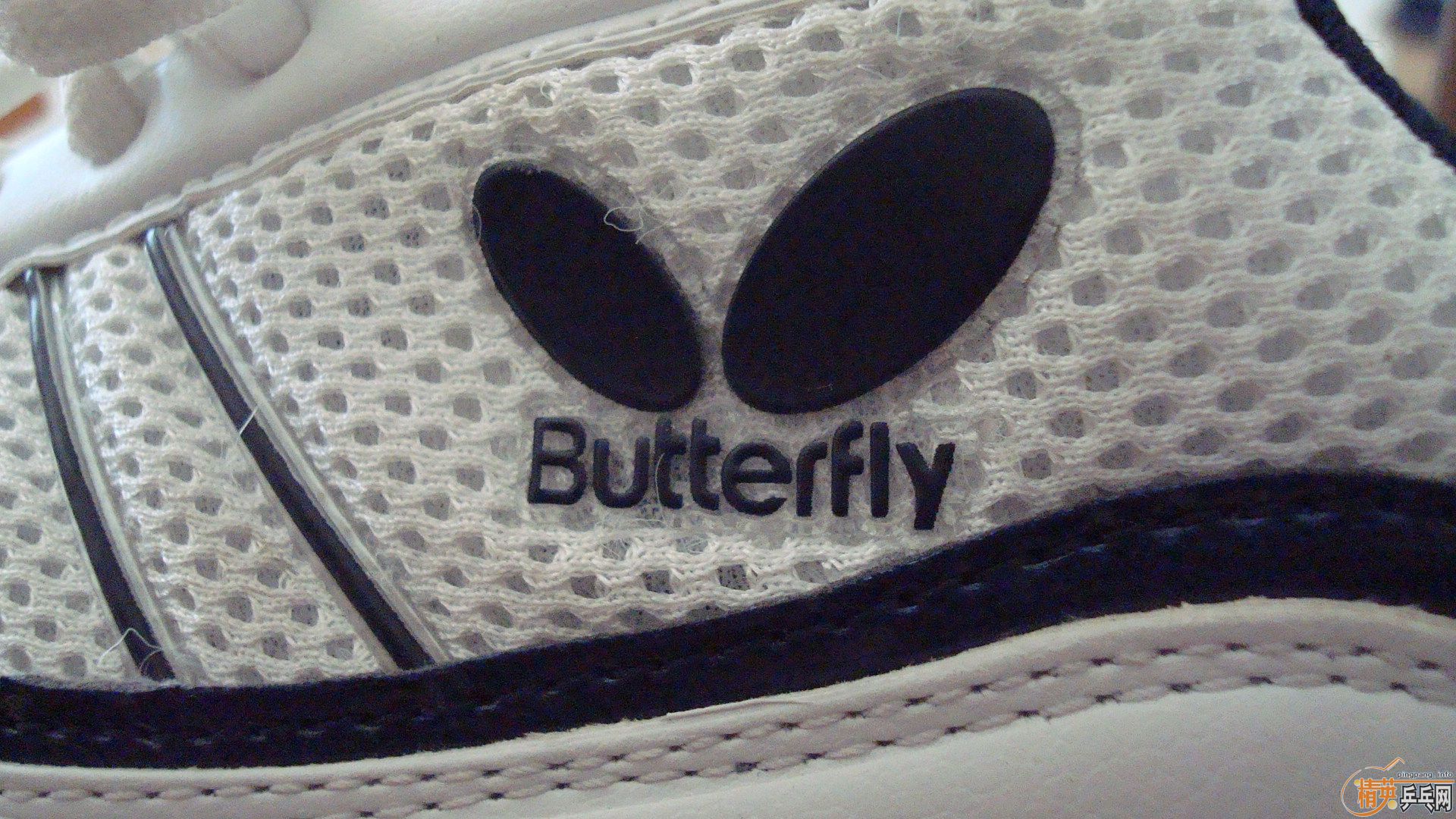 ������WTS-2ƹ��Ь