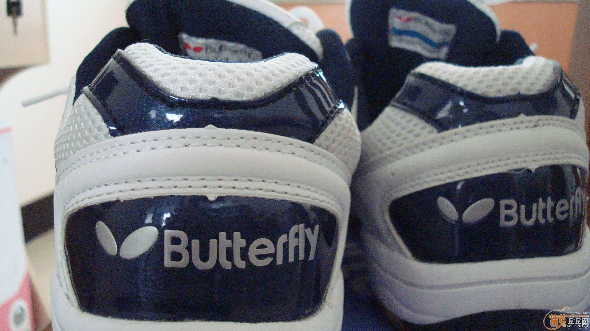 ������WTS-2ƹ��Ь