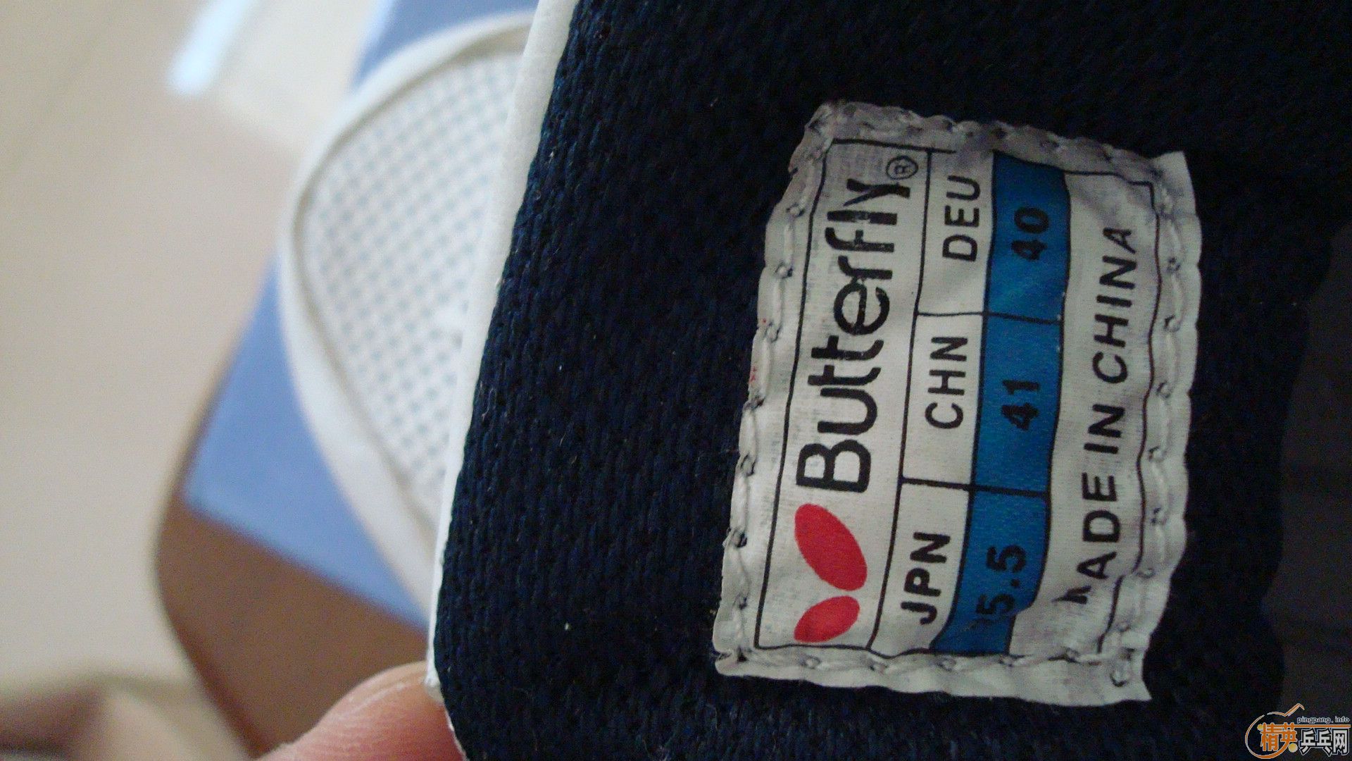 ������WTS-2ƹ��Ь