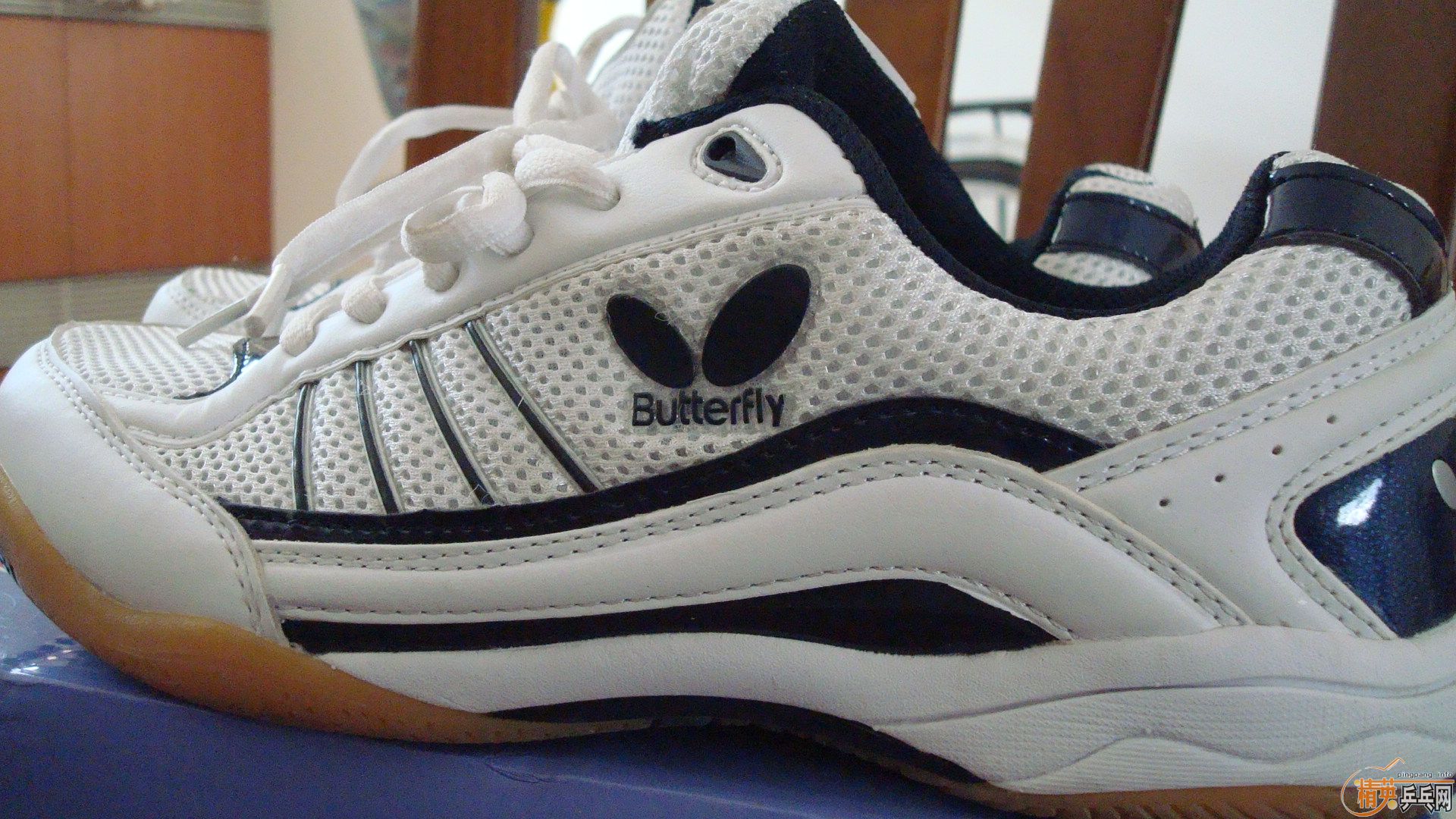 ������WTS-2ƹ��Ь