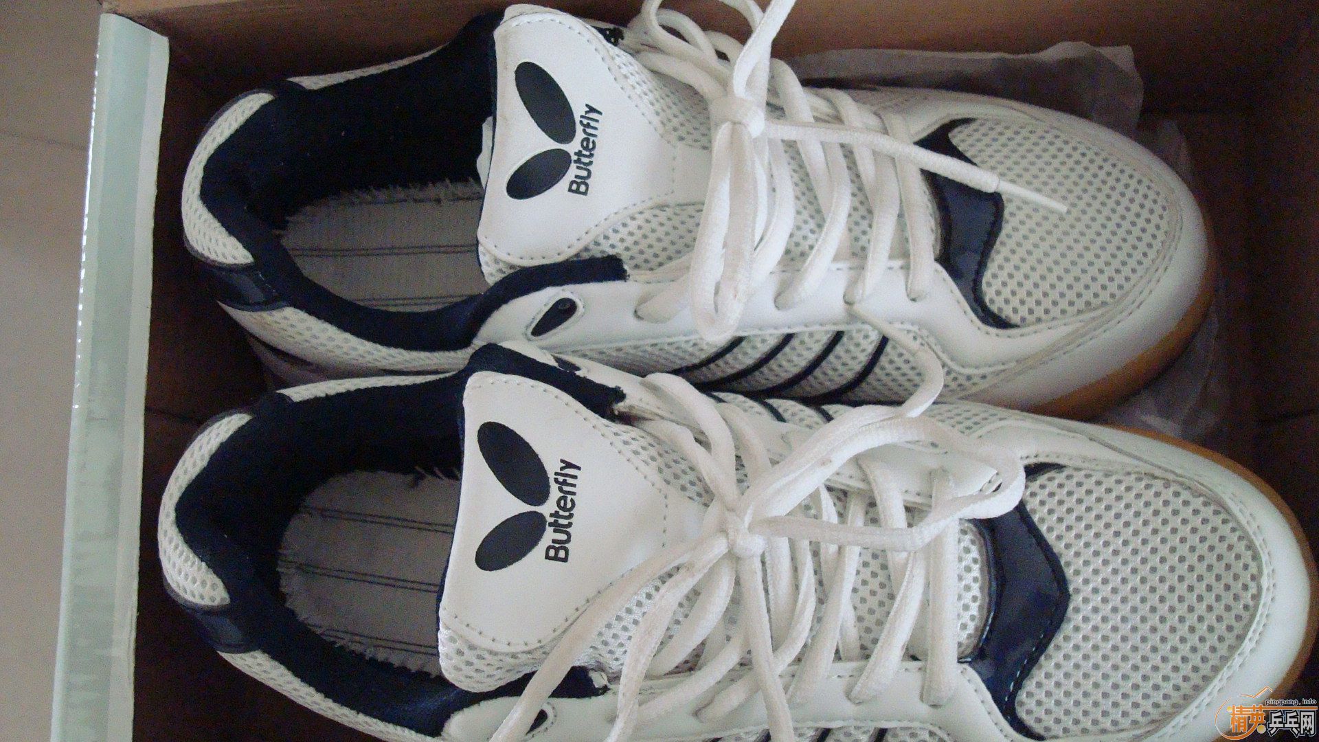 ������WTS-2ƹ��Ь