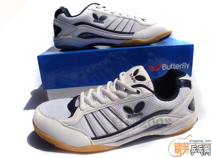 ������WTS-2ƹ��Ь