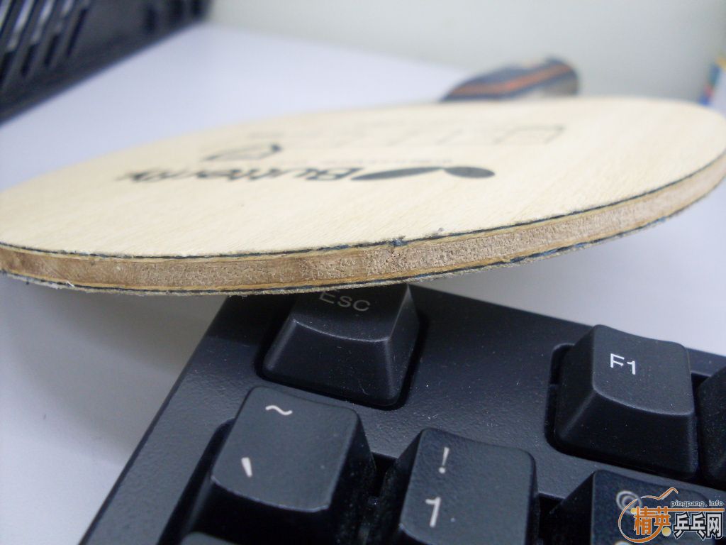 ͭ������ ����+���2.1+EL Max