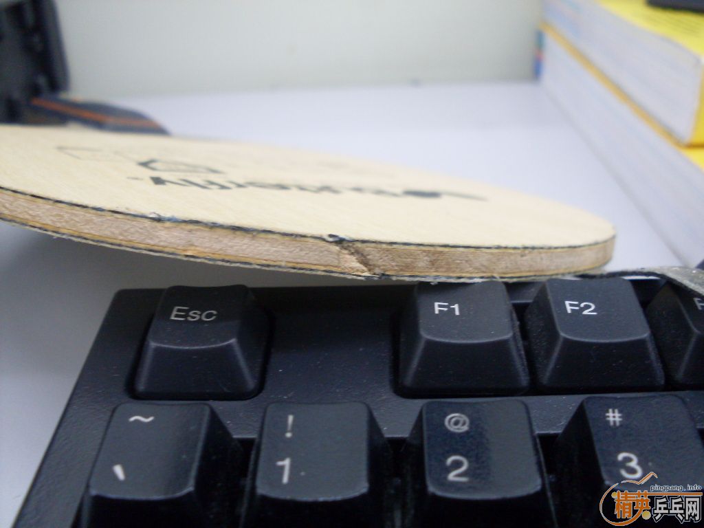 ͭ������ ����+���2.1+EL Max