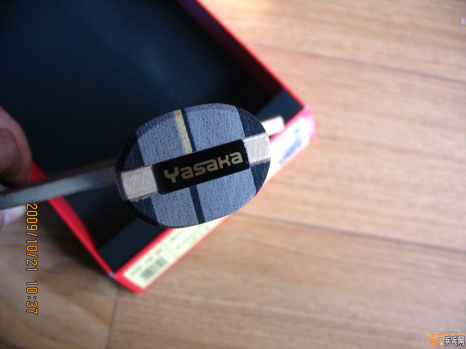 �ٳ�08����------------YEO