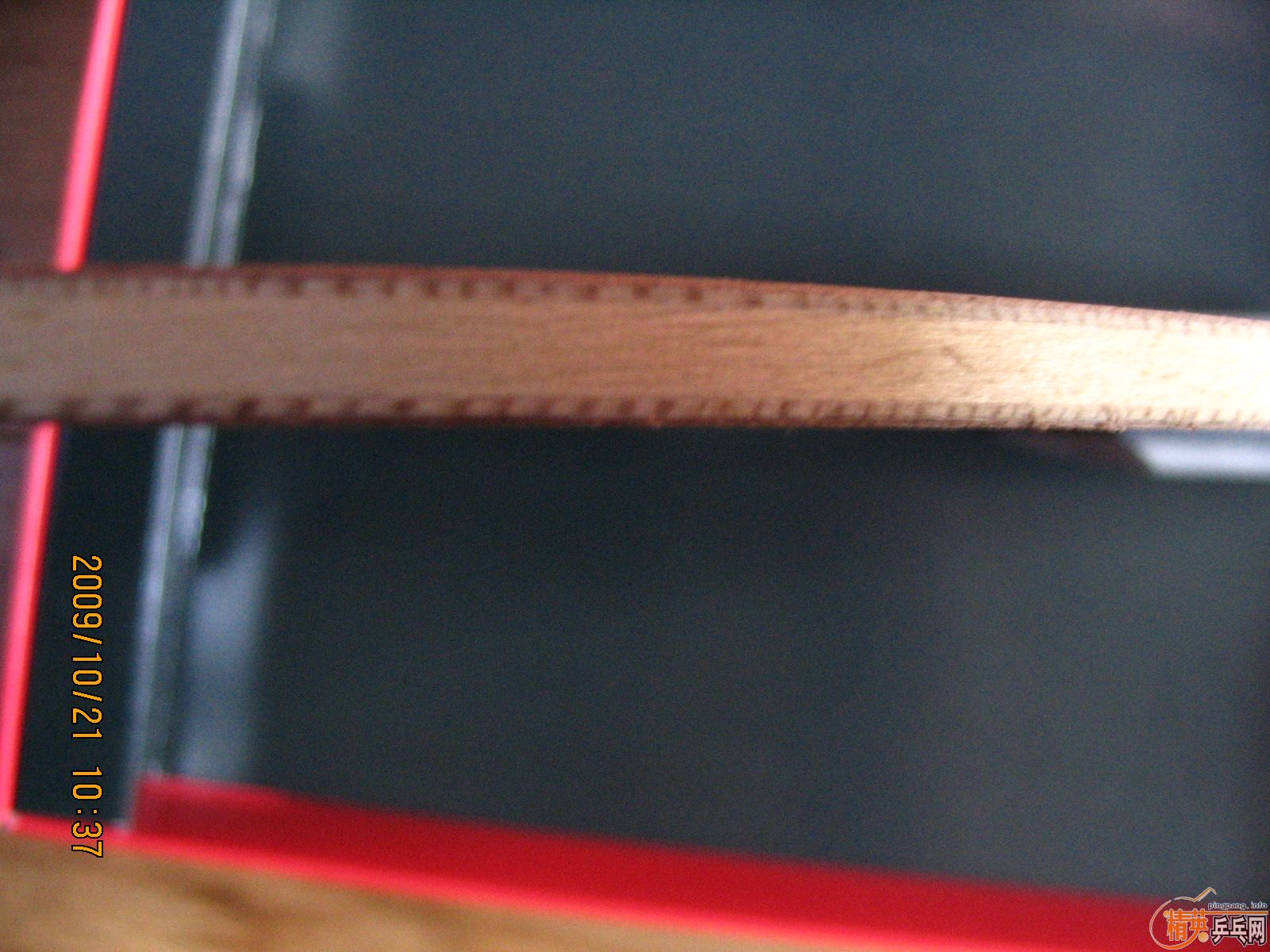 �ٳ�08����------------YEO