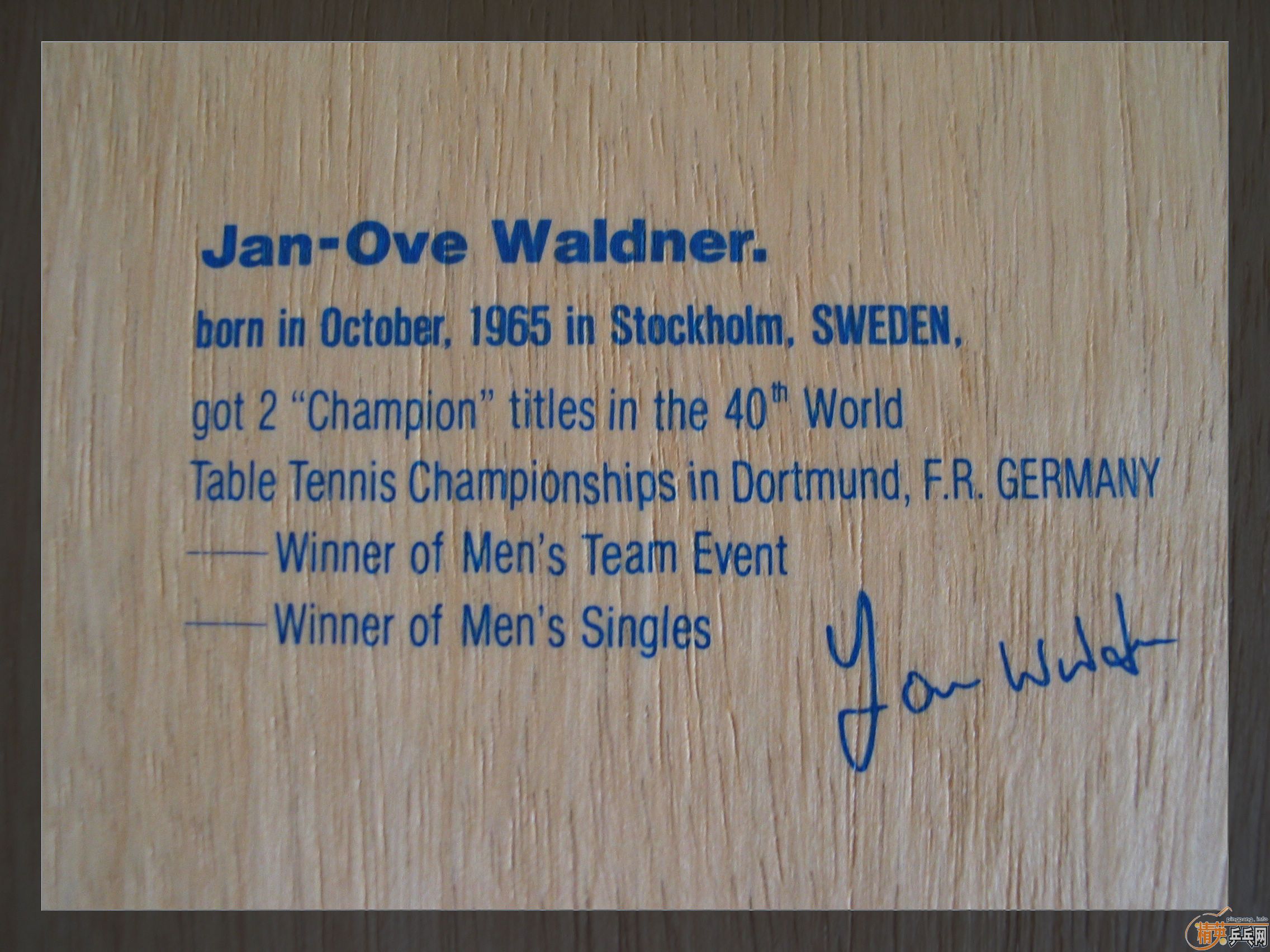 ����һ�� ����ϡ�е���������ľ��