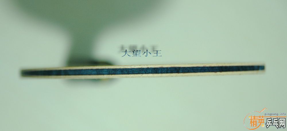 98����ľ������棩+�����׽���������֧����