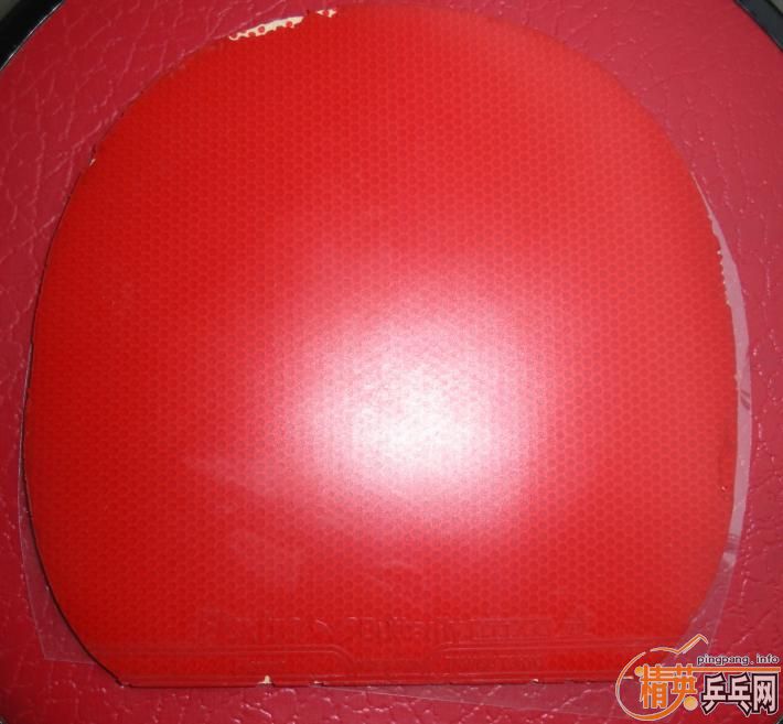 ��ɫ729-08��45�ȣ���ɫ����flextre��ֱ���棬50Ԫ����