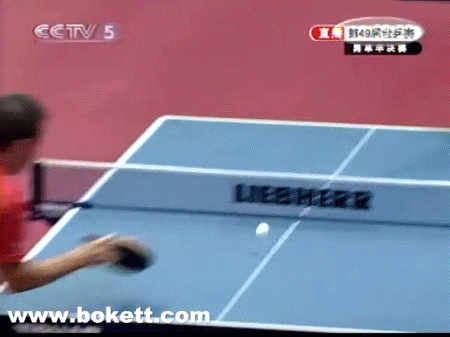 nuYZ3bL4.gif