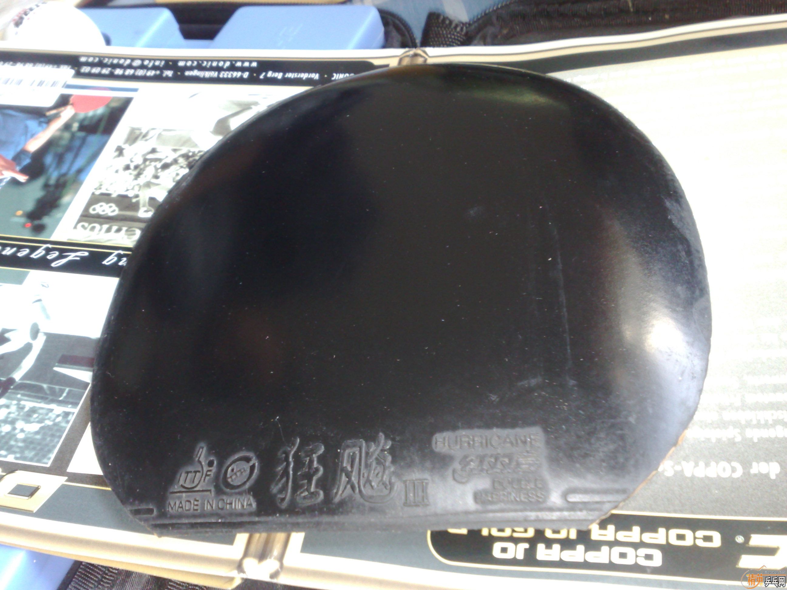 ����08ʡ�� 65����