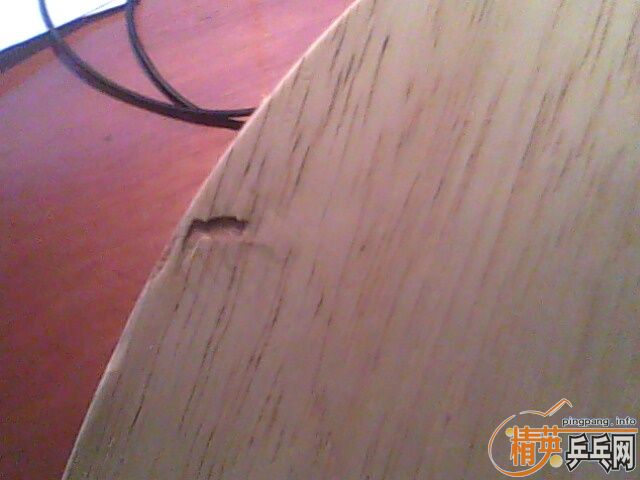 �����Ͽ���̼��YCA��80������