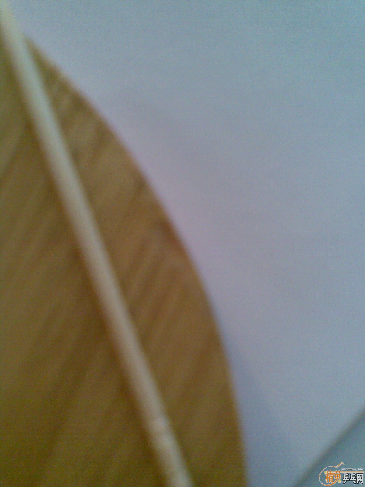 215Ԫ���죬����ʽϸ���л�CL��