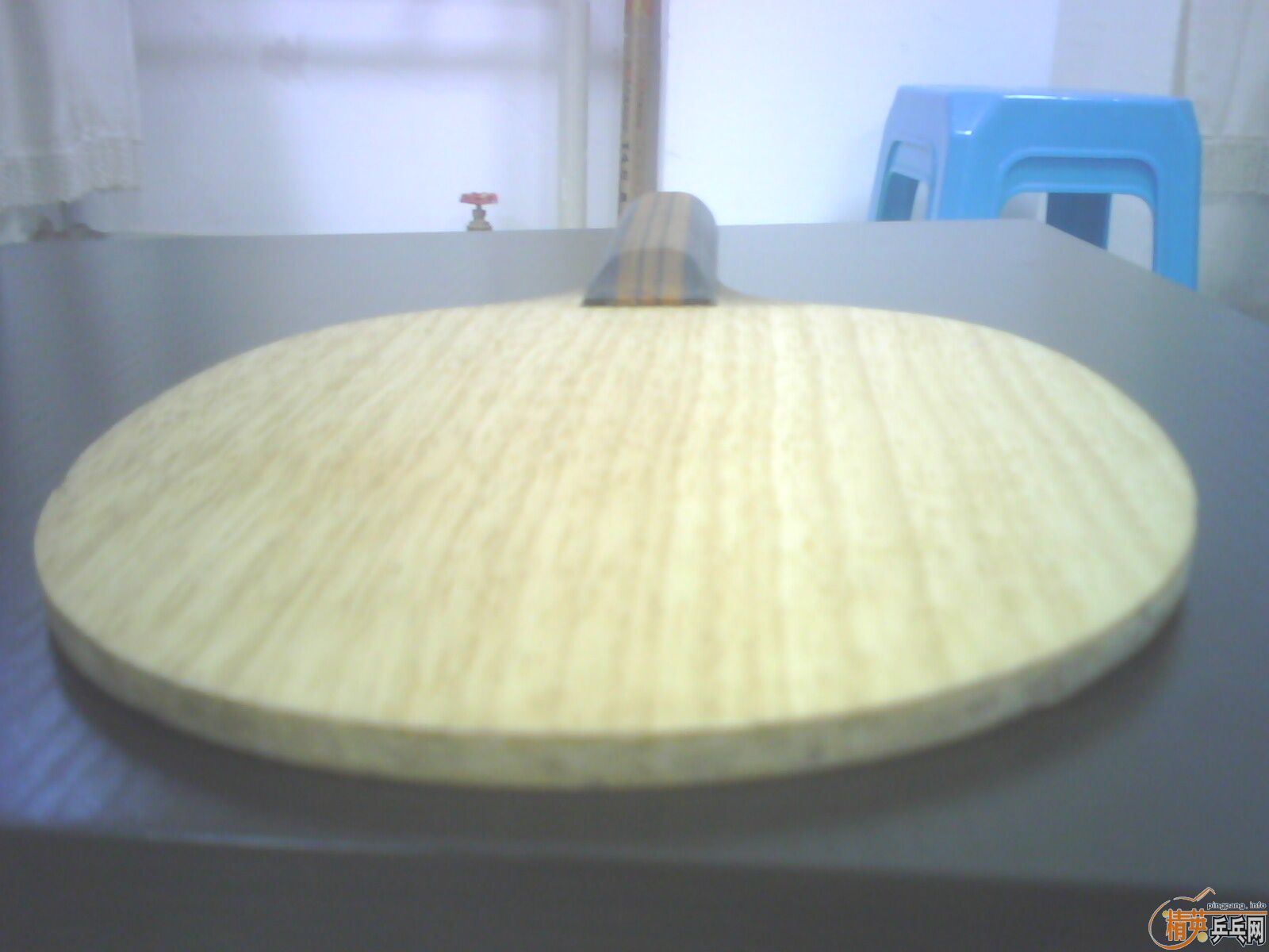 ��һֻ����������Ȥ�� ����