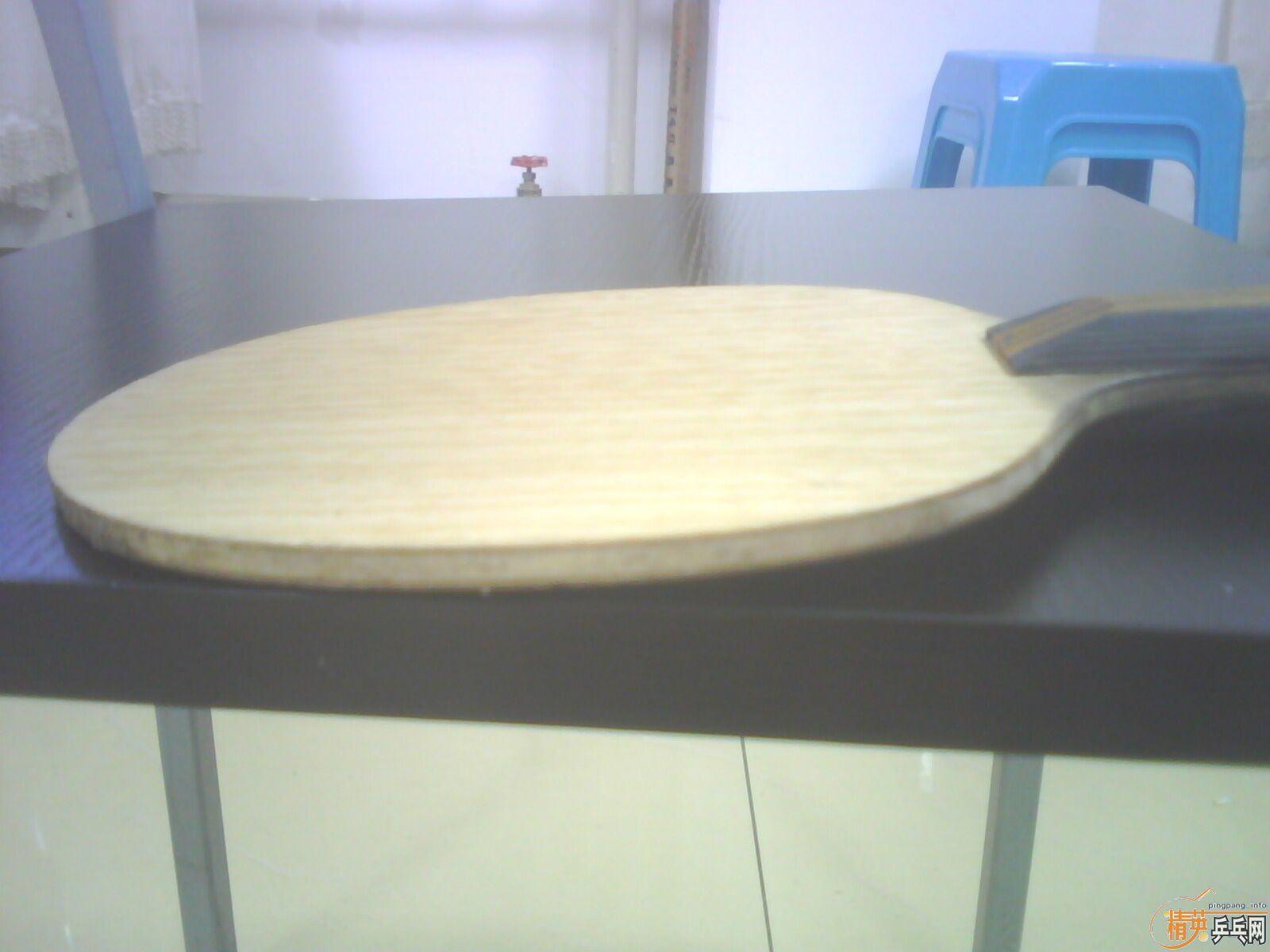 ��һֻ����������Ȥ�� ����