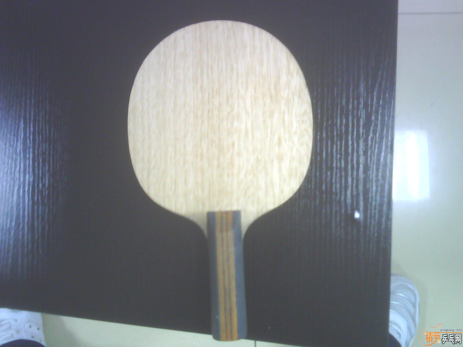 ��һֻ����������Ȥ�� ����