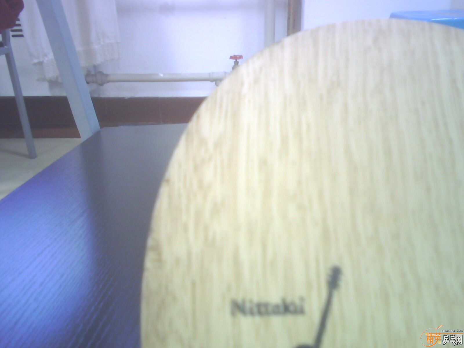 ��һֻ����������Ȥ�� ����