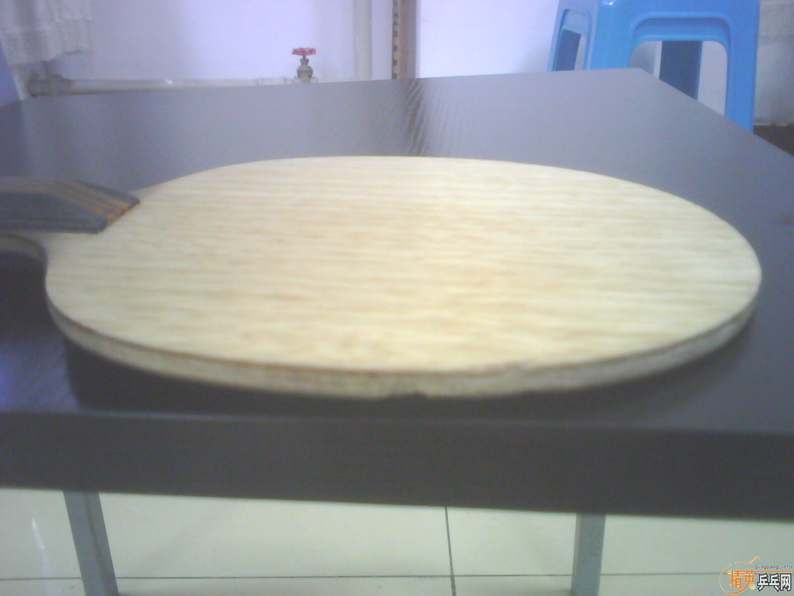 ��һֻ����������Ȥ�� ����