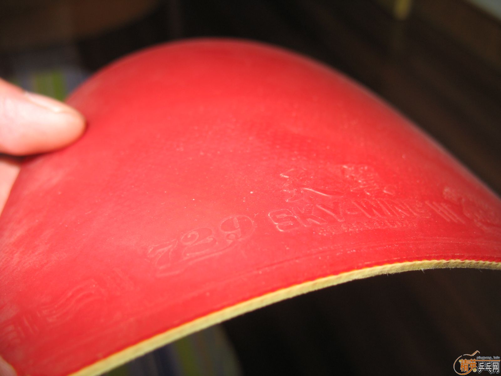 ���һ��������ʤ�Ʊ�CL�����׽���֧����