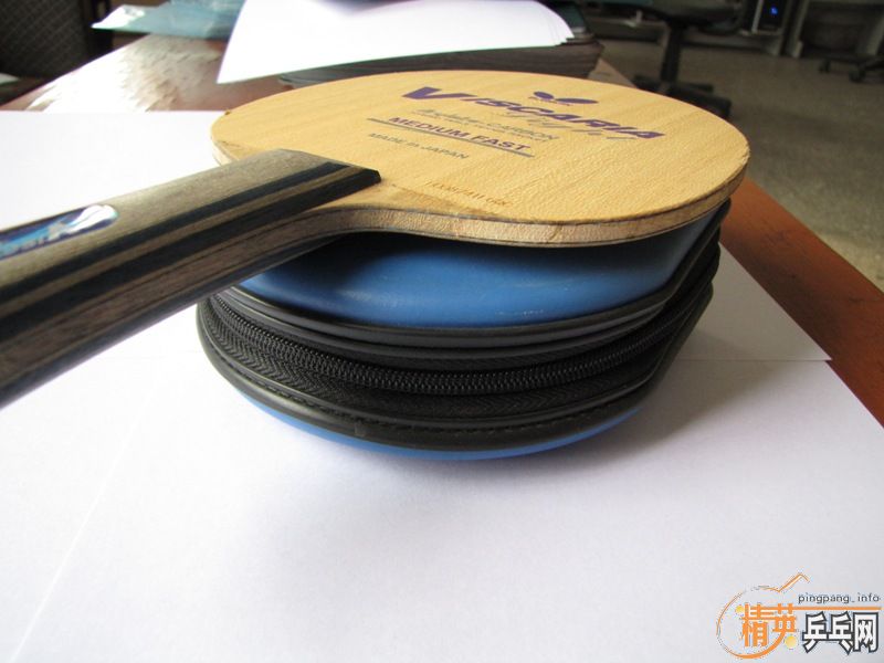 8.5�µ��л�VISCARIA LIGHT��530���ʣ����߻�ľ������