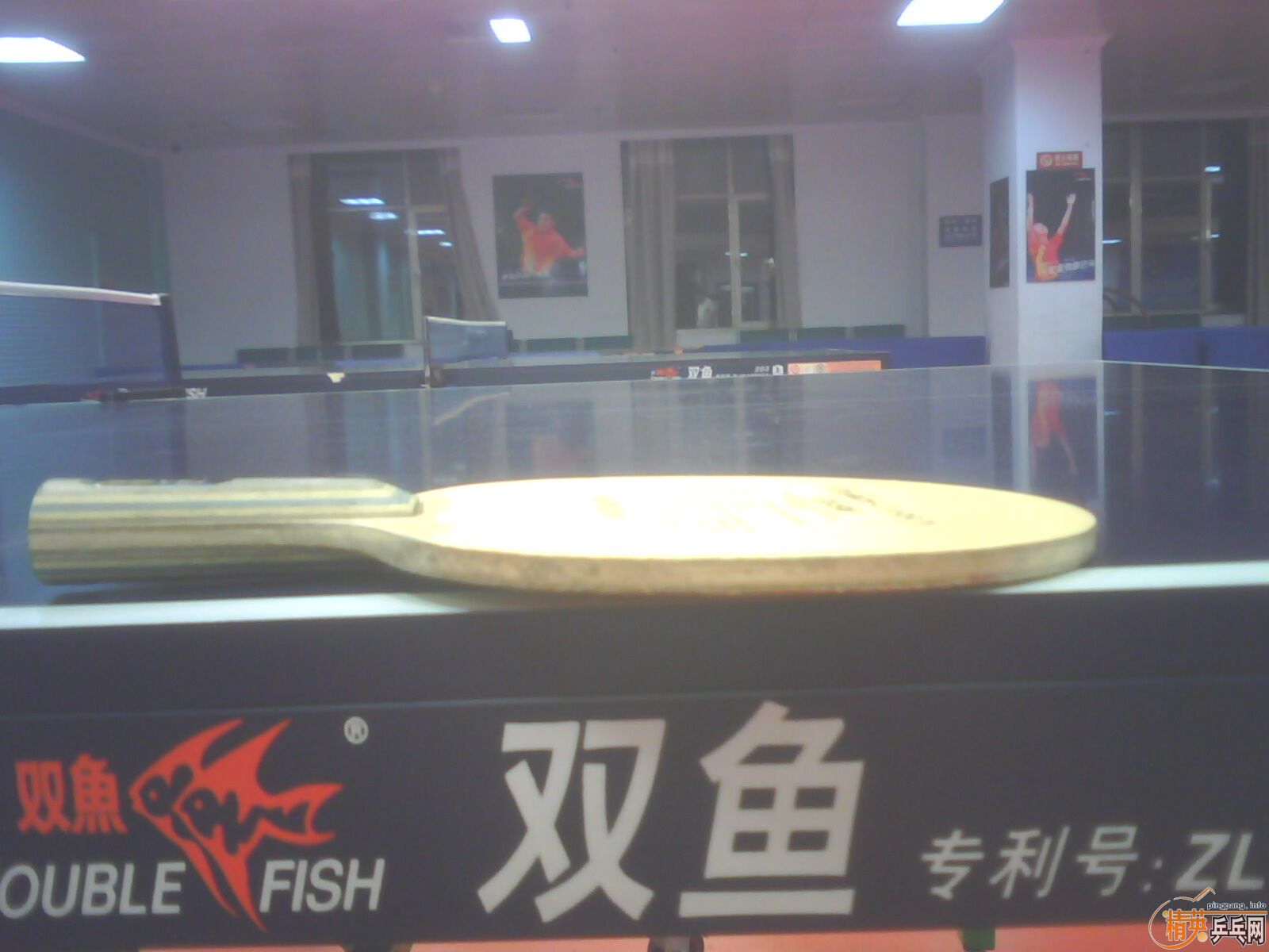 95�º�������550����