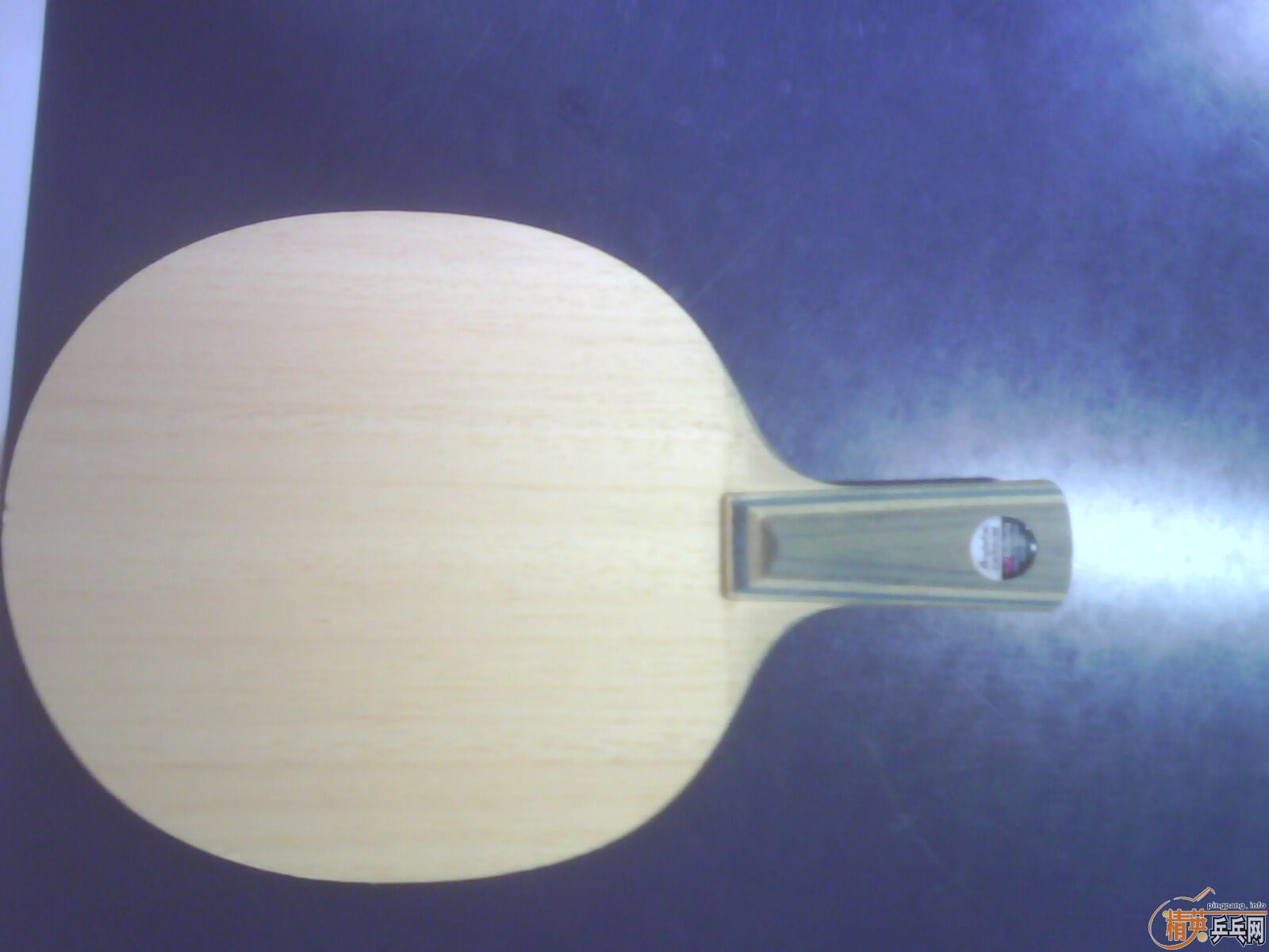 95�º�������550����