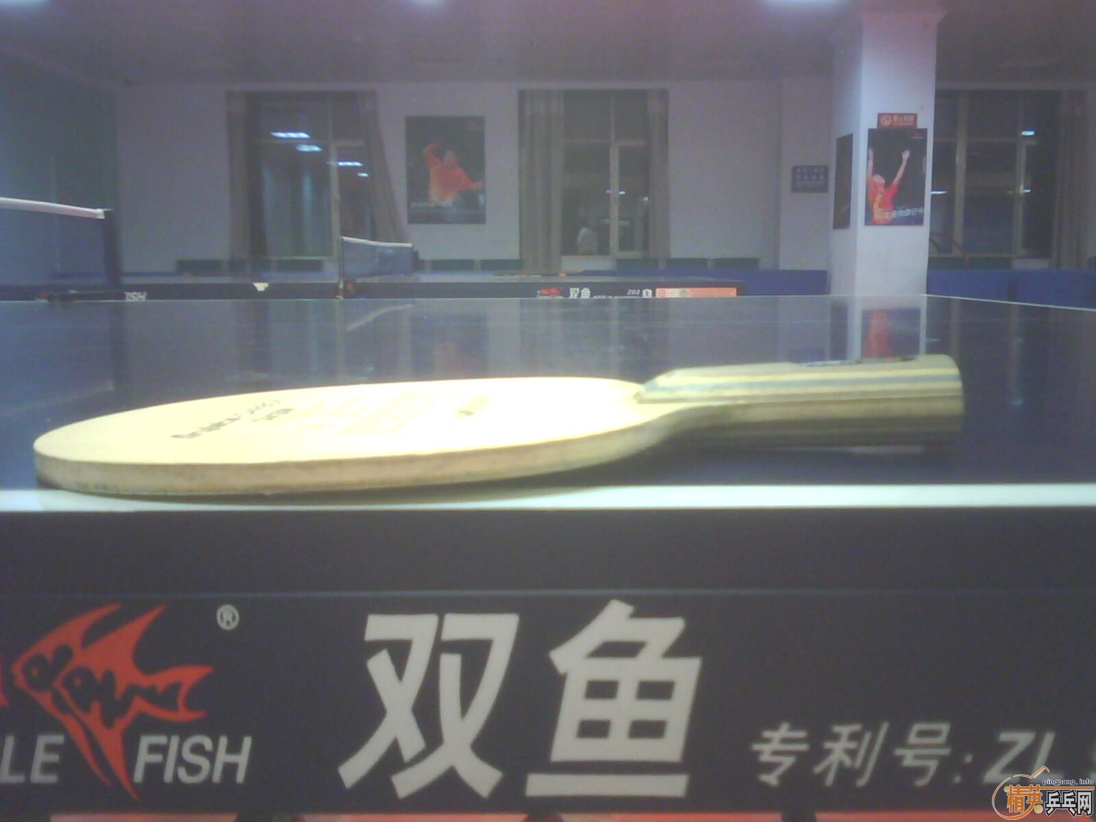 95�º�������550����