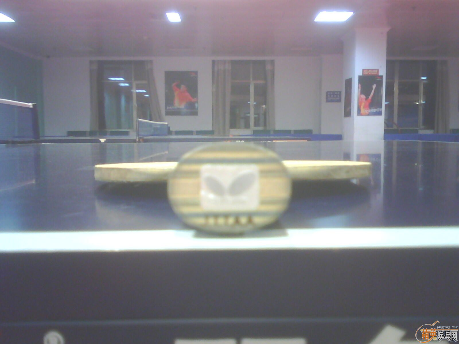 95�º�������550����