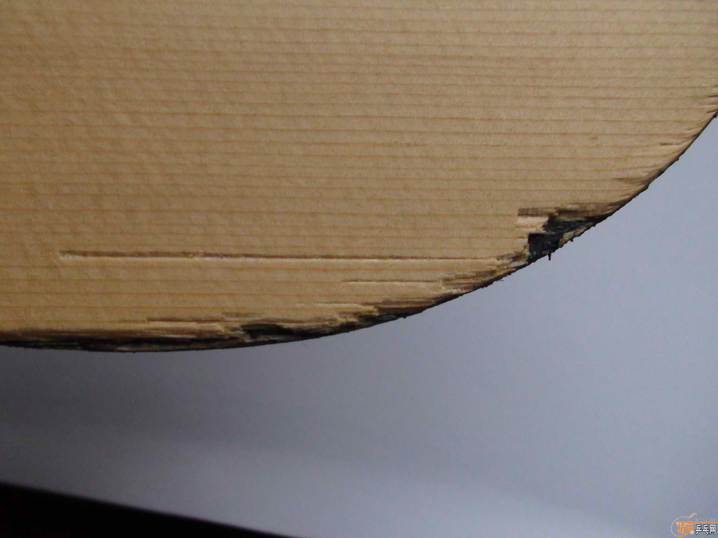 ����ʩ����